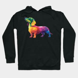 Dachshund Gay Pride LGBT Rainbow Flag Dog Lovers LGBTQ Hoodie